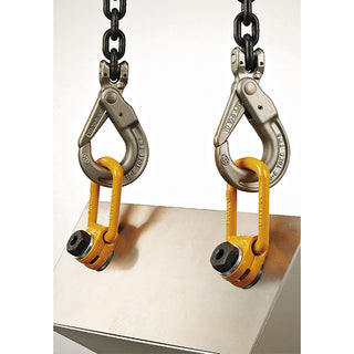 Yoke Swivel Lifting Point